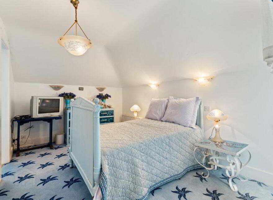 Blue Salmon, Ballyconneely, Ballyconneely, H71XK11