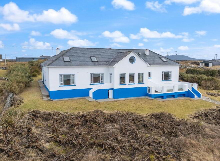 Blue Salmon, Ballyconneely, Ballyconneely, H71XK11