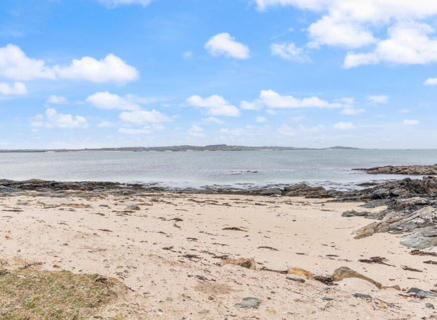 Blue Salmon, Ballyconneely, Ballyconneely, H71XK11