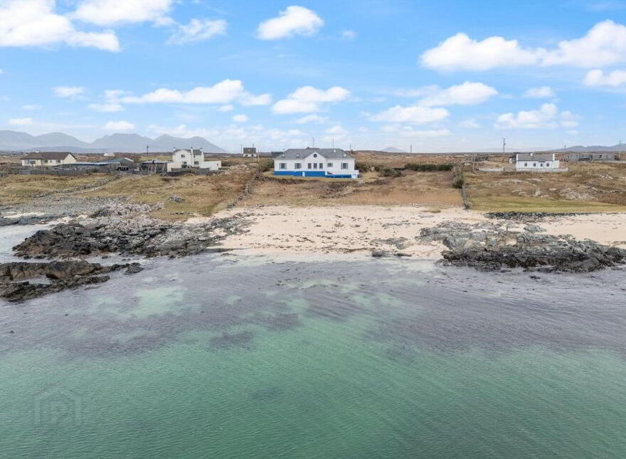 Blue Salmon, Ballyconneely, Ballyconneely, H71XK11