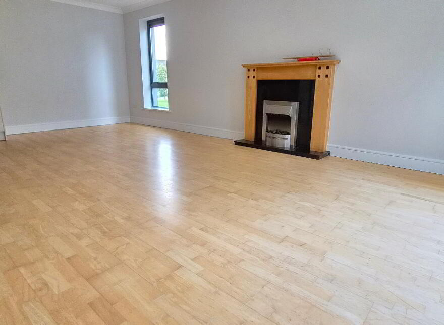Apartment 20 The Plaza Central Park, Carrick-On-Shannon, N41HX58