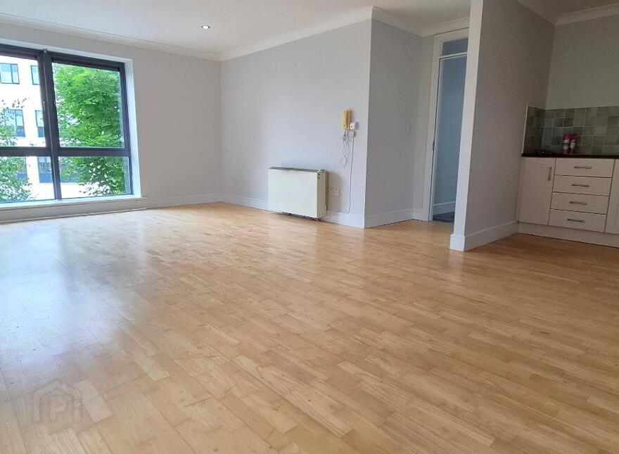 Apartment 20 The Plaza Central Park, Carrick-On-Shannon, N41HX58