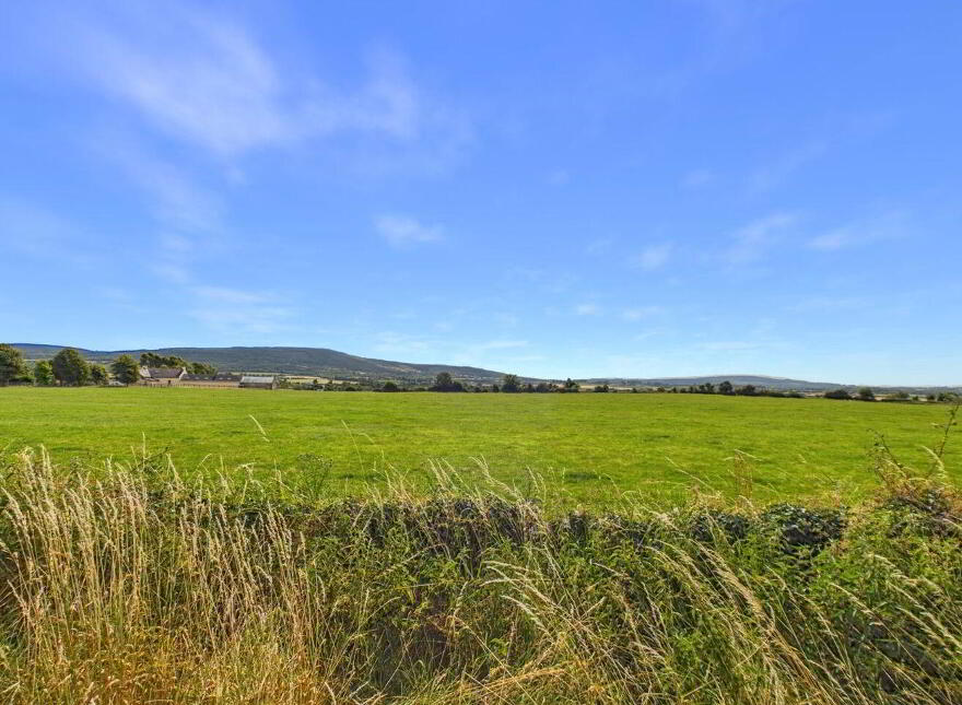 Shaefri, Ballycoolan, Stradbally, R32F9D8