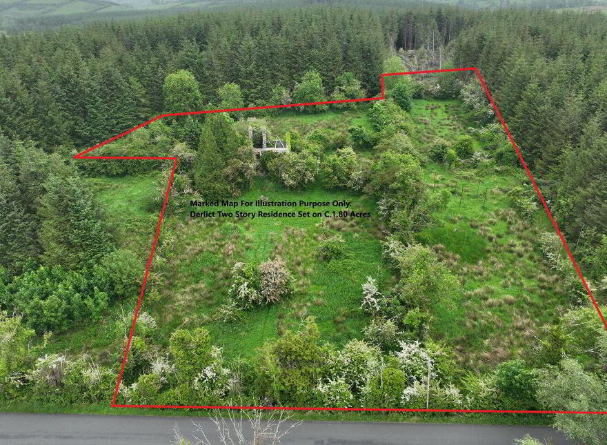 Carrickrathmullin, Ballymote photo