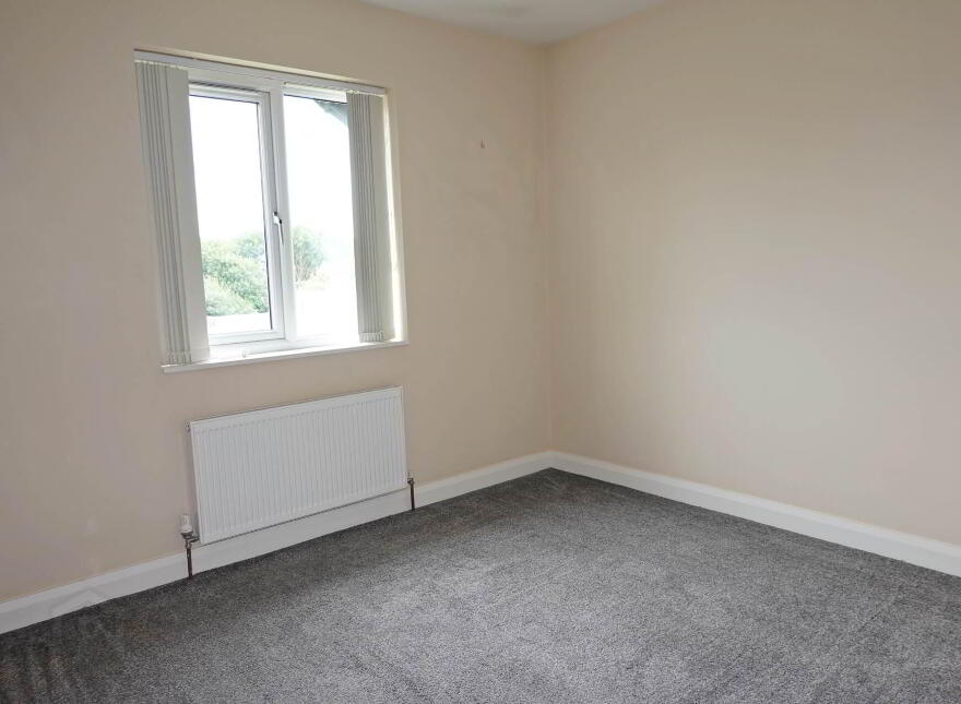 57 The Meadows, Irvinestown, BT94 1EU