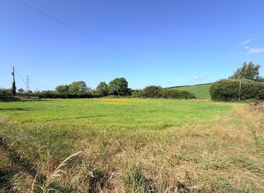 46 Tullyrain Road, Gilford, BT63 6DY