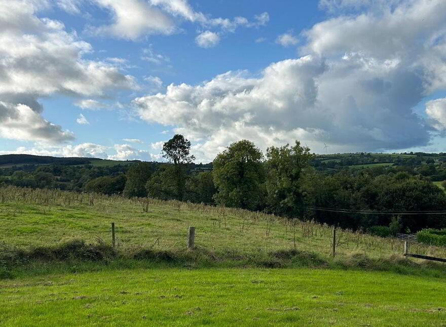 Glenaguile, Toomevara, Nenagh, E45D376