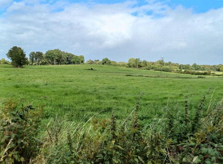 10 Acres Of Land (, Road Frontage), Beside 142 Nursery Road, Gracehi...Ballymena, BT42 2QD