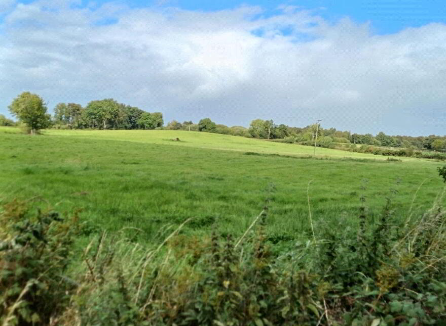 10 Acres Of Land (, Road Frontage), Beside 142 Nursery Road, Gracehi...Ballymena, BT42 2QD