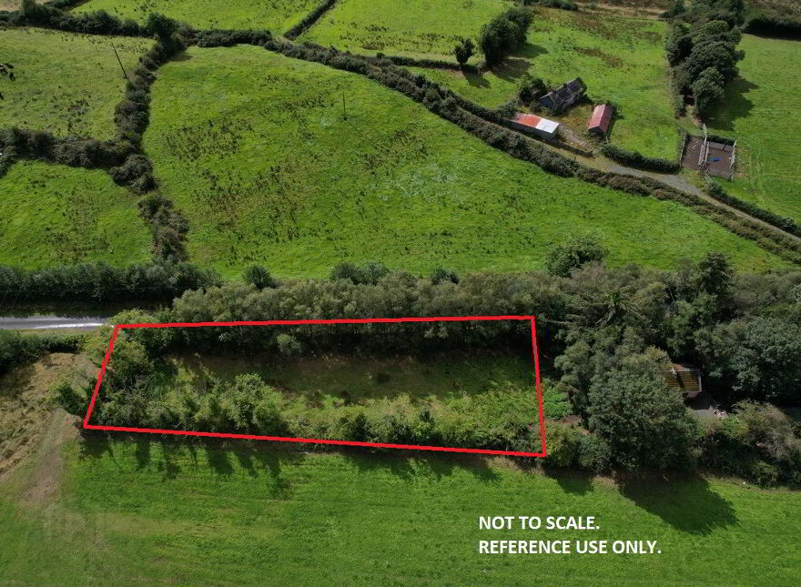 Fyora Or Fihoragh, Moyne
