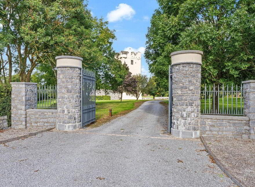 Ballytarsna Castle, Ballytarsna, Horse And Jockey, E25TX39