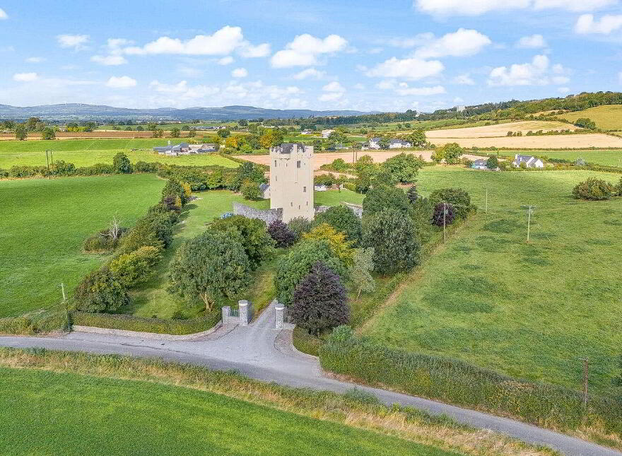 Ballytarsna Castle, Ballytarsna, Horse And Jockey, E25TX39