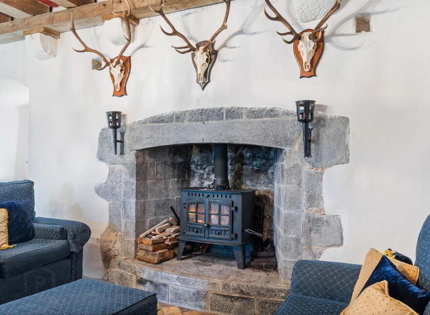 Ballytarsna Castle, Ballytarsna, Horse And Jockey, E25TX39