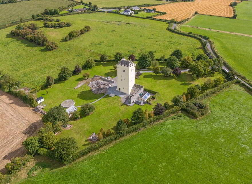 Ballytarsna Castle, Ballytarsna, Horse And Jockey, E25TX39