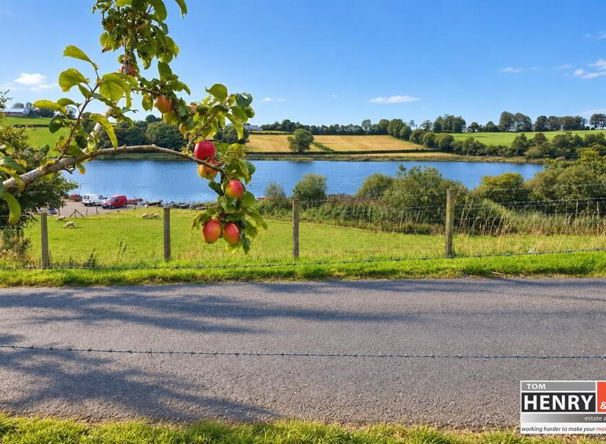 Cullion Road, Edendork, Dungannon, BT71 4DS