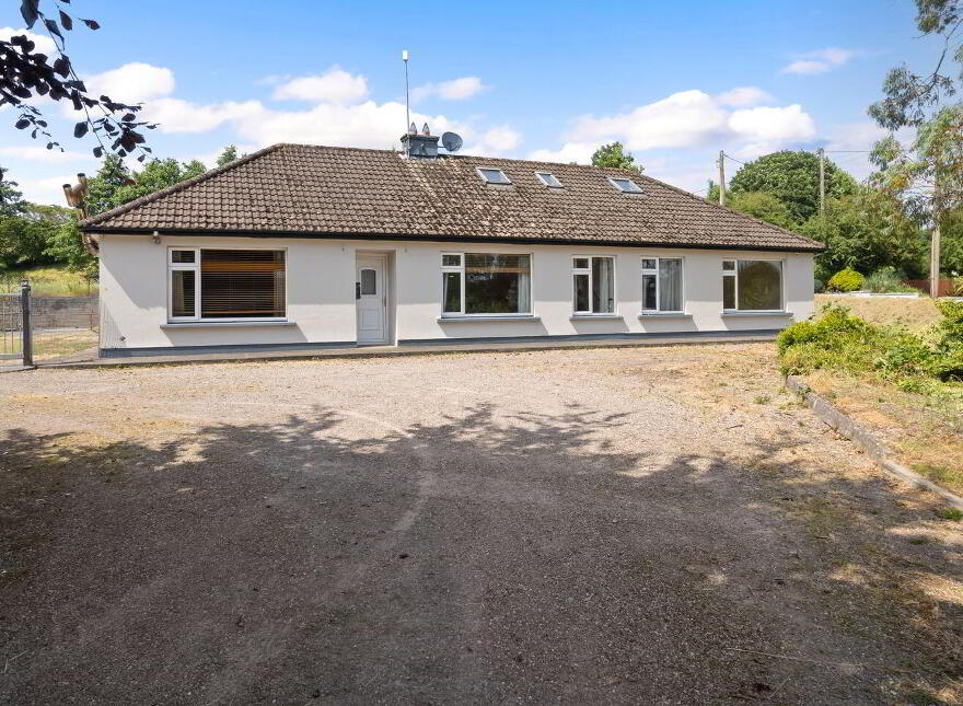Templemary, Buttevant, P51PC91