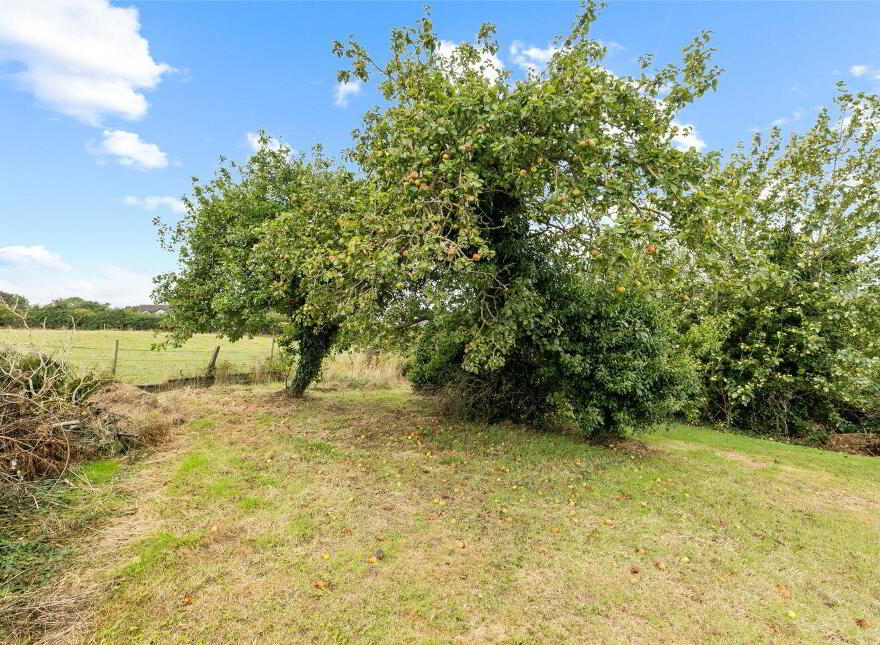 House, Yard & Gardens, Mullagh Lane, Dromiskin, A91HT67