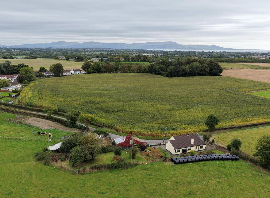 House, Workshop, Yard & Gardens, Mullagh Lane, Dromiskin, A91HT67