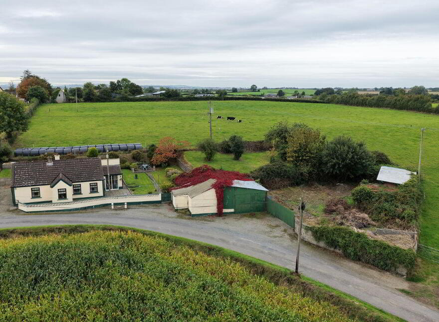 House, Workshop, Yard & Gardens, Mullagh Lane, Dromiskin, A91HT67