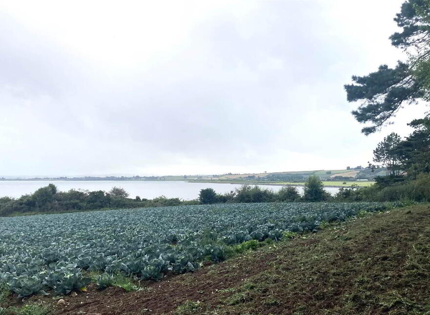 Potential Development Lands , To, 28 Portaferry Road, Newtownards, BT23 8SQ