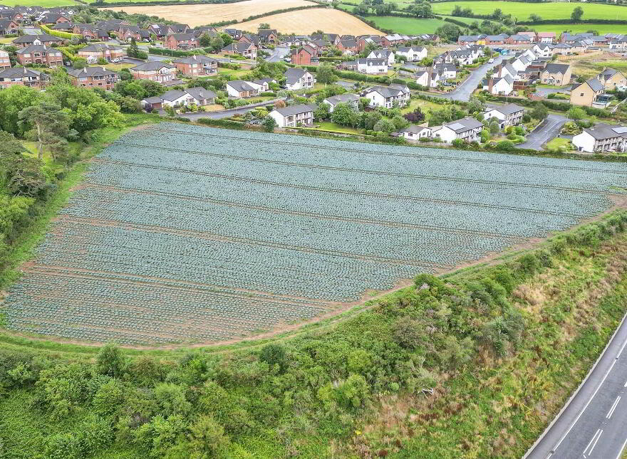 Potential Development Lands , To, 28 Portaferry Road, Newtownards, BT23 8SQ