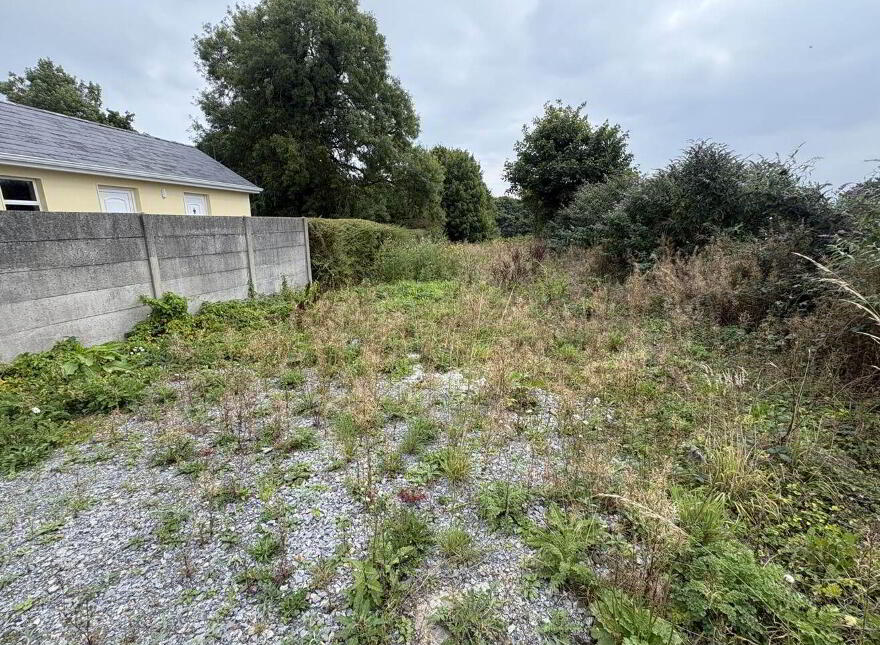 Main Street, Ardagh, V42AE28