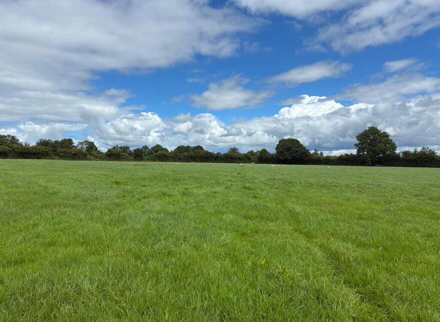 Kilmog, Kilkenny, R95Y8ER