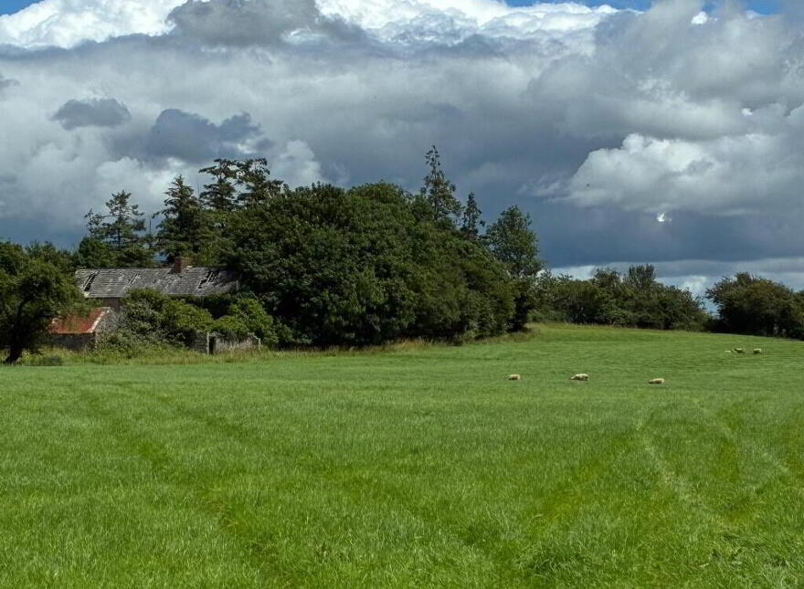 Kilmog, Kilkenny, R95Y8ER
