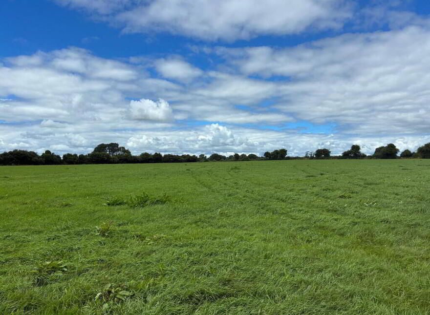 Kilmog, Kilkenny, R95Y8ER
