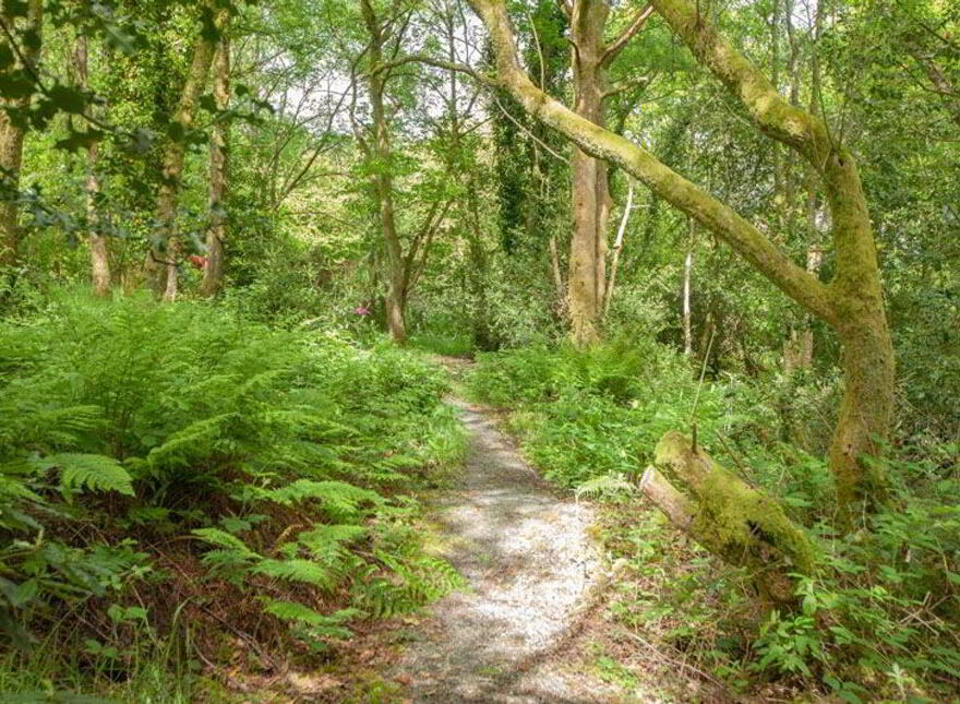 Ballinanty, Rathdrum, A67DA59