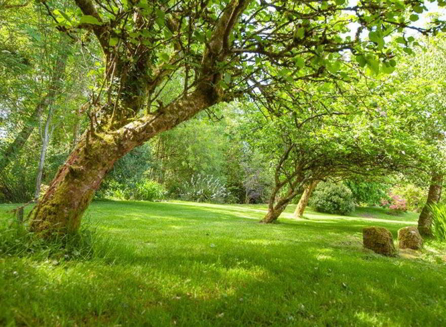 Ballinanty, Rathdrum, A67DA59