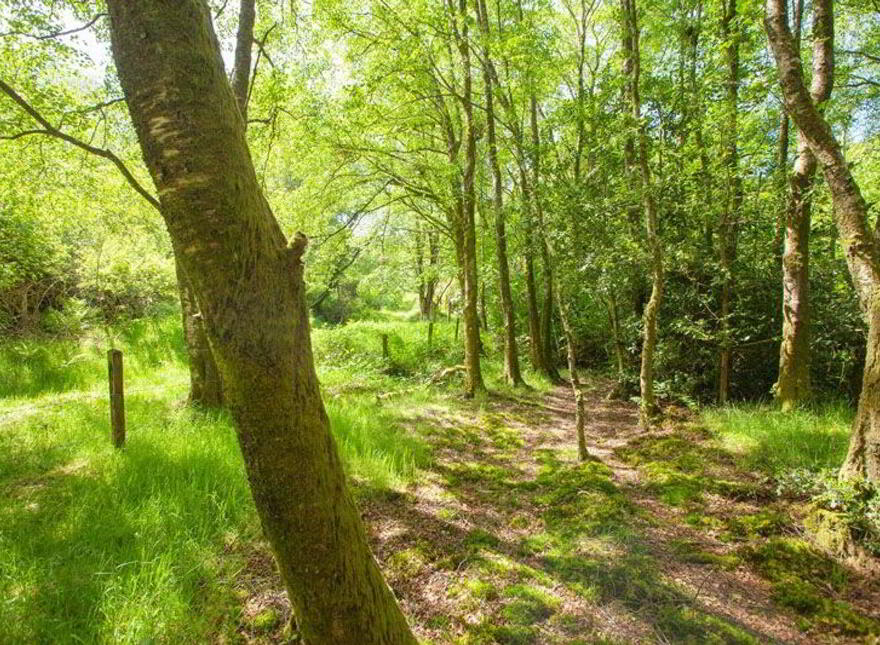 Ballinanty, Rathdrum, A67DA59