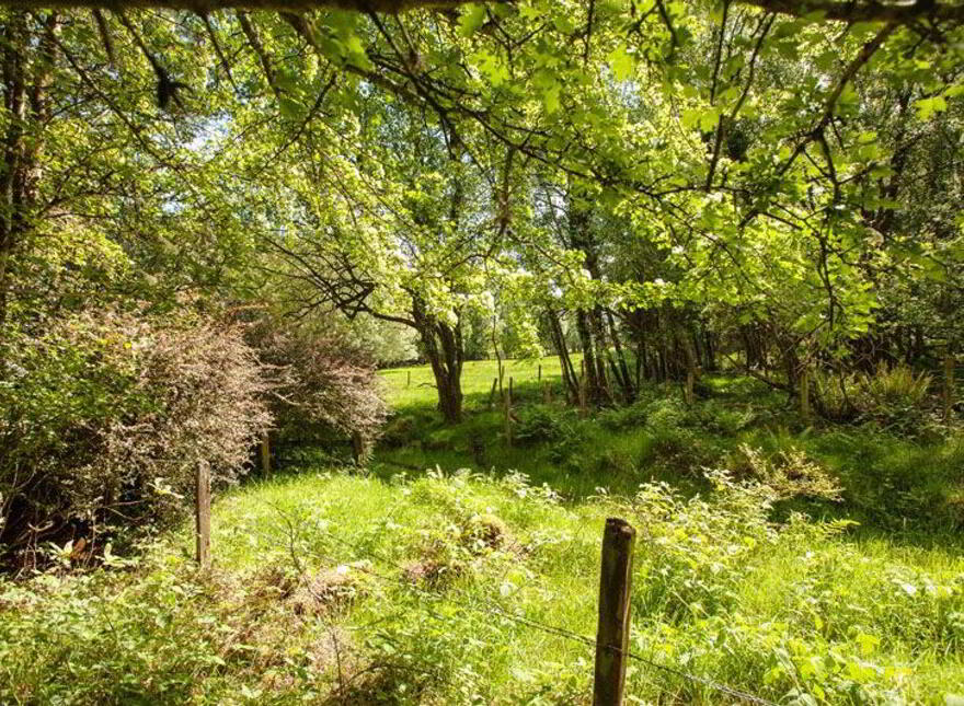 Ballinanty, Rathdrum, A67DA59