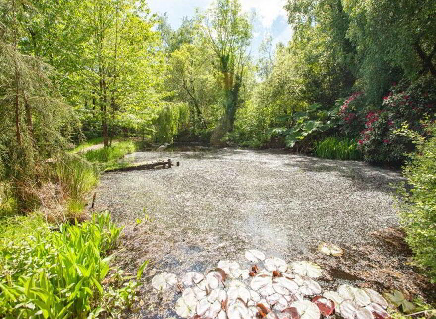 Ballinanty, Rathdrum, A67DA59