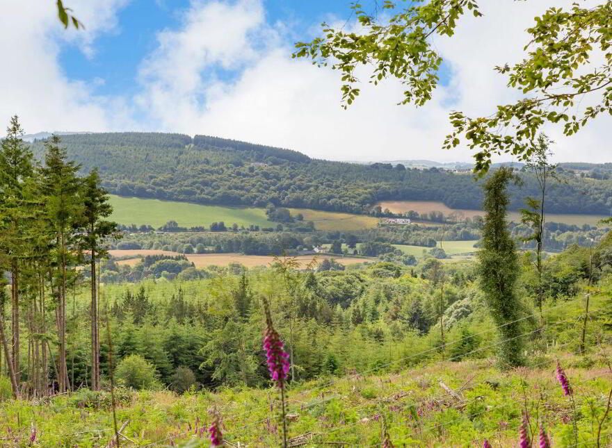 Cosy Cottage, Ballymoate, Glenealy, A67A977