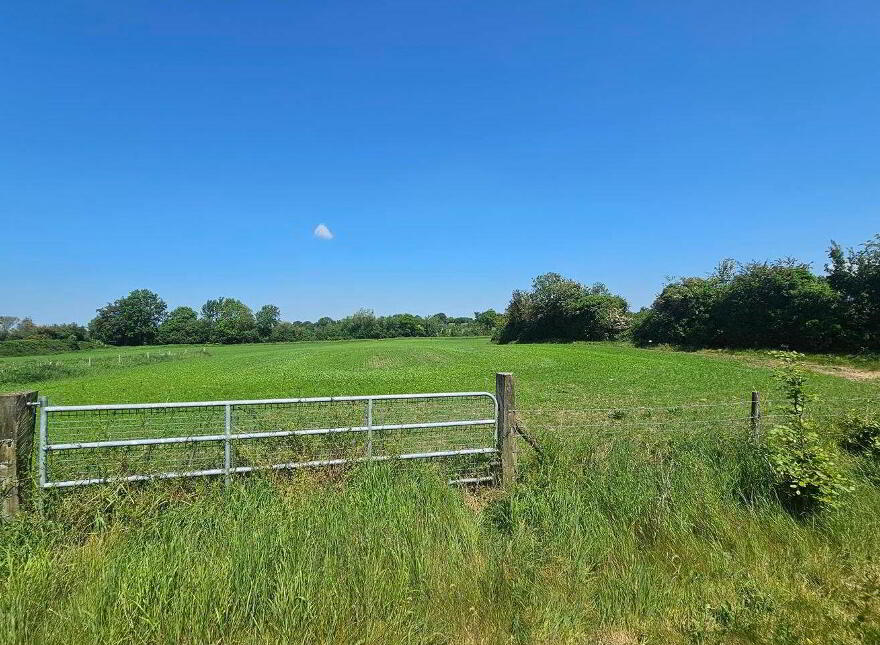 Beechwood House, Newtownpilsworth, Maganey, R93C7K6