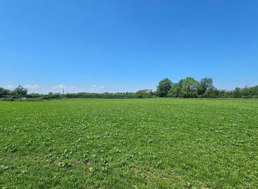 Beechwood House, Newtownpilsworth, Maganey, R93C7K6