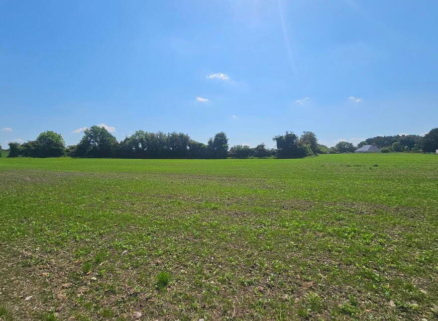 Beechwood House, Newtownpilsworth, Maganey, R93C7K6