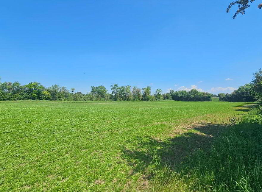Beechwood House, Newtownpilsworth, Maganey, R93C7K6