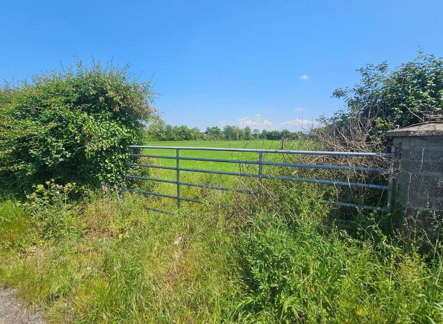 Beechwood House, Newtownpilsworth, Maganey, R93C7K6