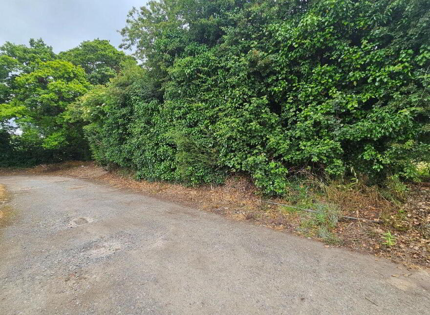 1981 Saint Brigids Avenue, Kilcullen, R56N634