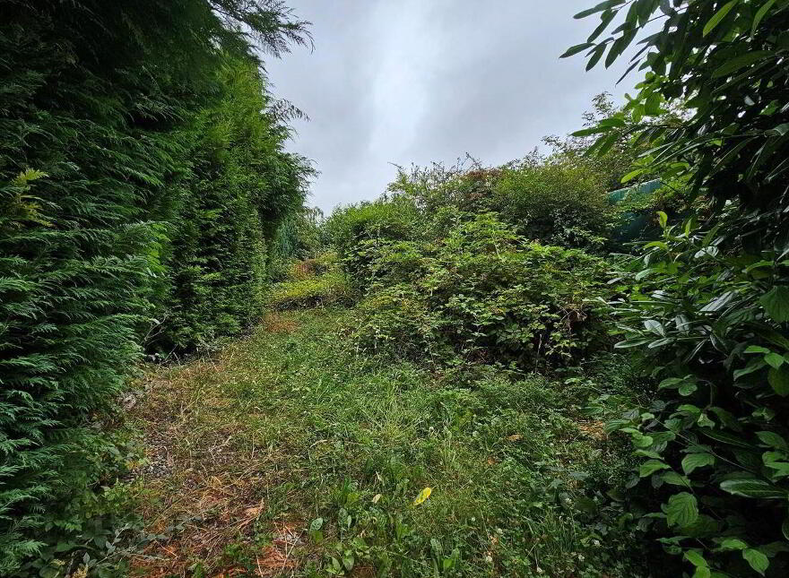 Grangemore, Milemill, Kilcullen, R56X033