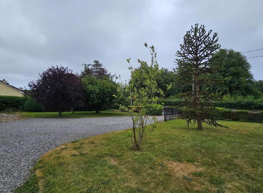 Grangemore, Milemill, Kilcullen, R56X033