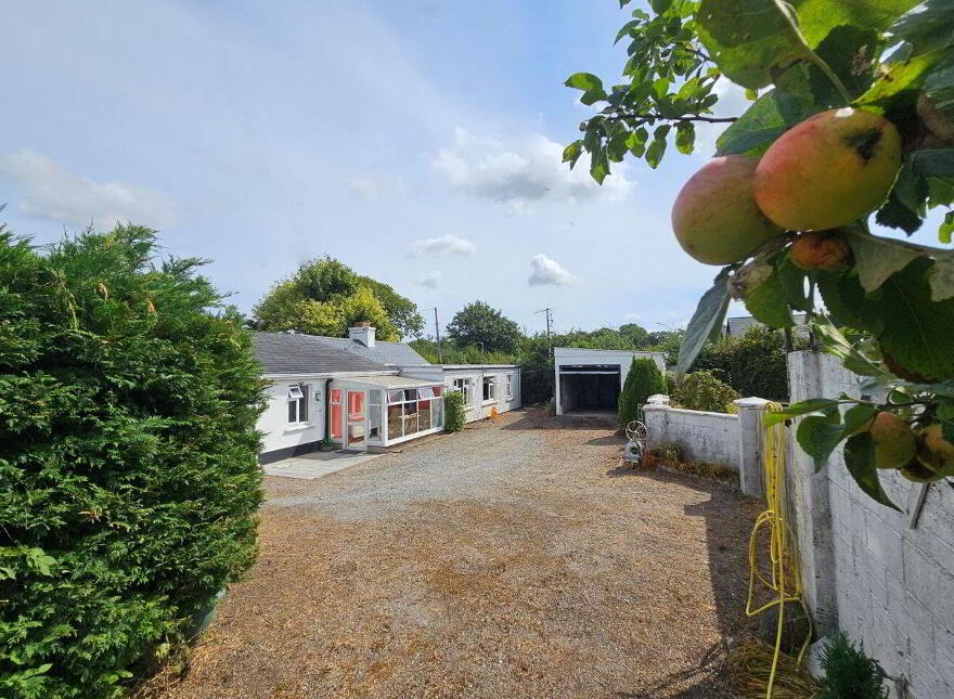 Battlemount, Ballitore, Narraghmore, R14T284