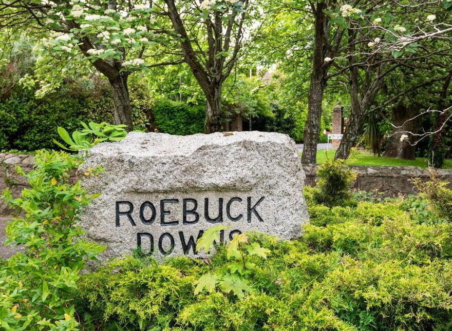3 Roebuck Downs, Clonskeagh, Clonskeagh, D14X223