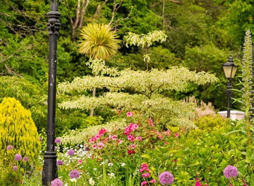 Mount Mapas House, Victoria Road, Killiney, A96X258