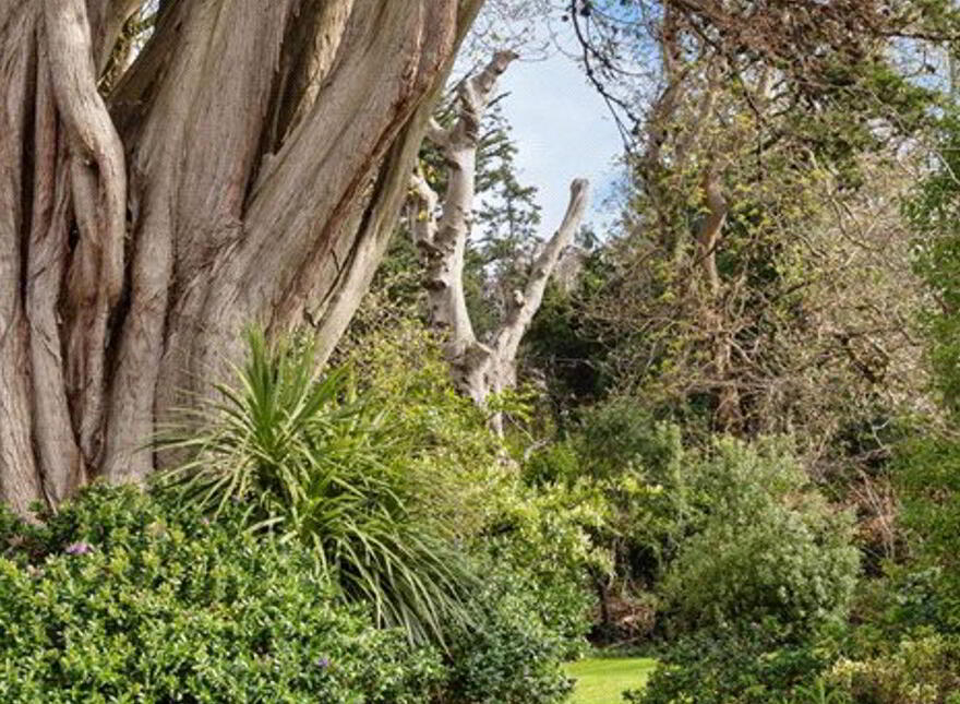 Larkfield, Church Road, Killiney, A96E928