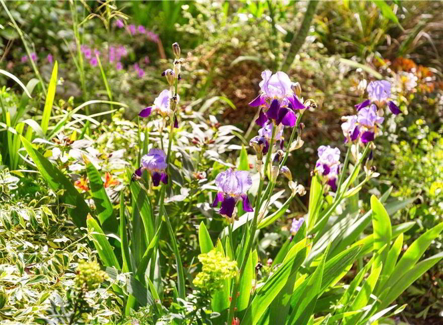 Mornington, Saval Park Road, Dalkey, A96D293