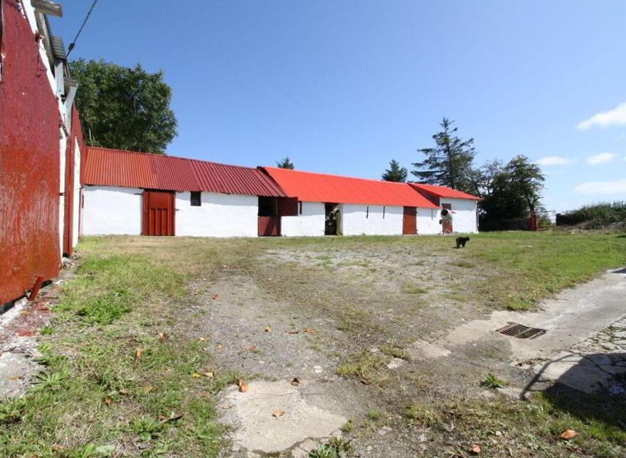 Mountplummer, Broadford, Dromcolliher, P56E771