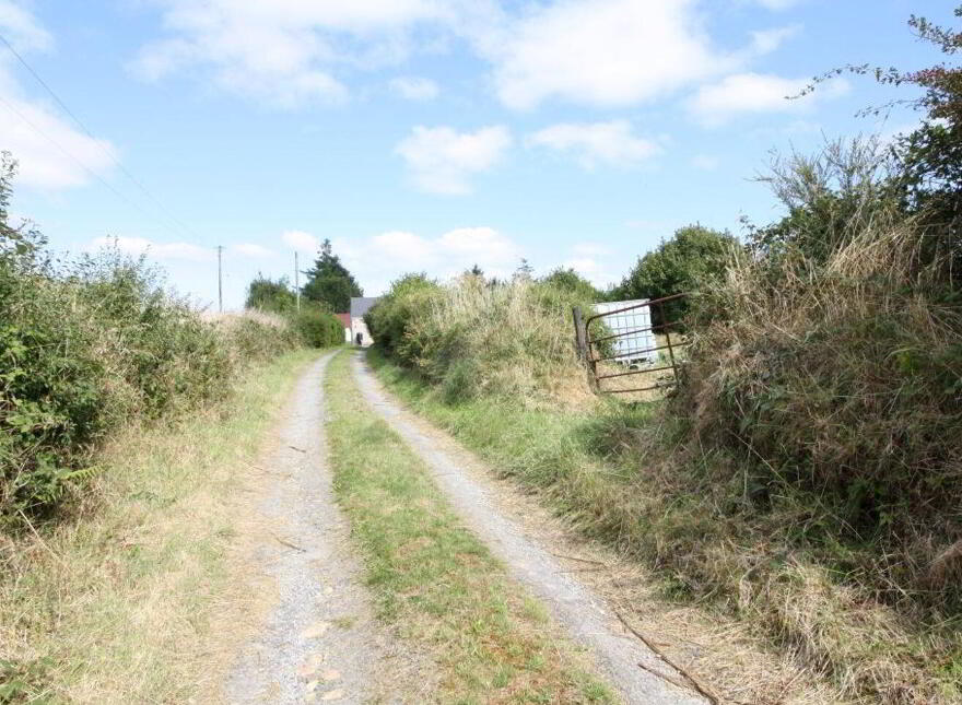 Mountplummer, Broadford, Dromcolliher, P56E771